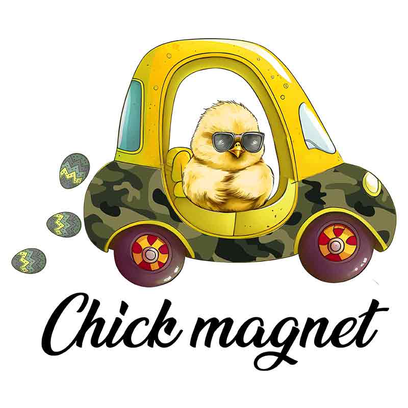 Chick Magnet (DTF Transfer)