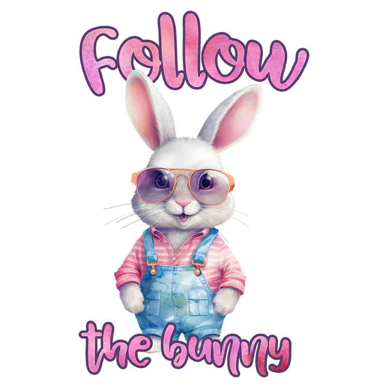 Follow That Bunny (DTF Transfer)