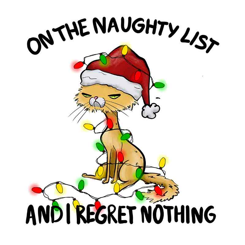 on-the-naughty-list-and-i-regret-nothing-dtf-transfer