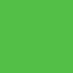 Bright Green 24” EasyPSV Starling Permanent Vinyl