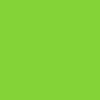Lime-Green 24” EasyPSV Starling Permanent Vinyl