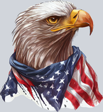 American Eagle 2 - STK00206