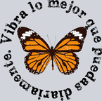 Vibra Lo Mejor Que Puedas Diariamente - STK06309