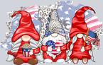 USA Gnome - STK06253