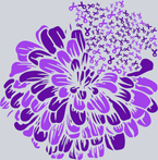 Lupus Flower Lupus Awareness - STK03924
