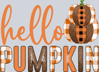 Hello Pumpkin 3 - STK07197