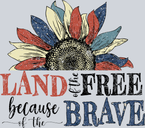 Land Of The Free Because Of The Brave 5 - STK03525