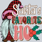 Santas Favorite Ho Gnome - STK05309