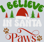 Pets I Believe In Santa Paws - STK04866