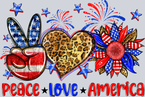 Peace Love America 2 - STK04714