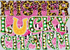 Lucky Mister Lucky Charm Leopard - STK03880