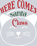 Pets Here Comes Santa Claws - STK04862