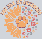 Pets Dog Paws Sunshine - STK04843