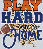 Play Hard Or Go Home 1 - STK04947