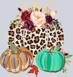 Pumpkins 3 - STK05101