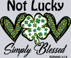 Not Lucky Blessed - STK04532