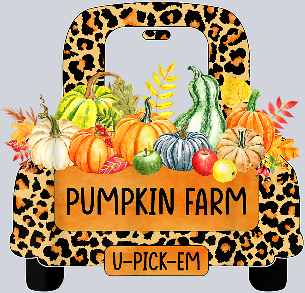 Pumpkin Farm U Pick Em 1 - STK05087