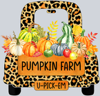 Pumpkin Farm U Pick Em 1 - STK05087