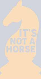 Games It's Not A Horse - STK02208