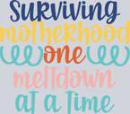 Surviving Motherhood - STK05888