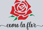 Como La Flor Stencil - STK01421