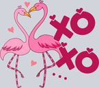 Xoxo Flamingo - STK06543