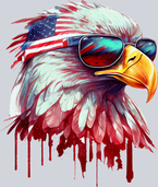 American Eagle 7 - STK00211