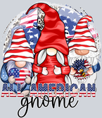 All American Gnome - STK00099