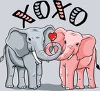 Xoxo Elephants - STK06542