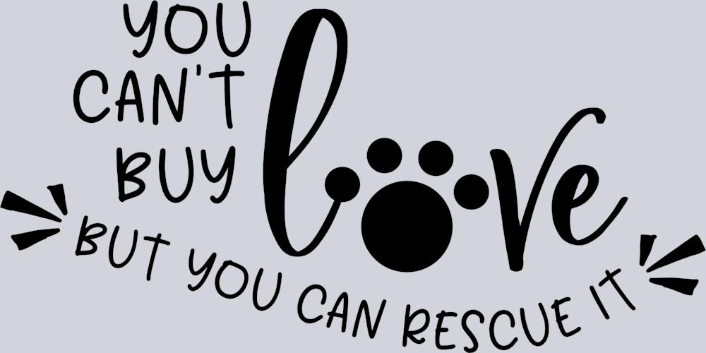 Pets Cat Cant Buy Love - STK04821