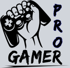 Pro Gamer - STK06948