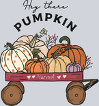 Hey There Pumpkin 2 - STK07201