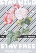 Stay Wild Stay Free - STK05804