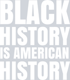 Black History Is American History 3 - STK00700
