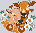 Xoxo Cows - STK06540