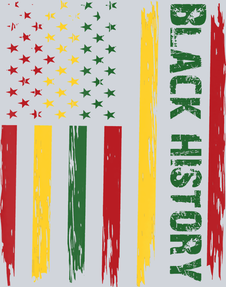 Black History Flag - STK00678
