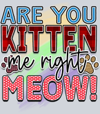 Pets Are You Kitten Me - STK04815