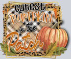 Cutest Pumpkin in the Patch 2 - STK07137