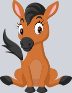 Foal - STK02053