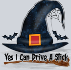 Yes I Can Drive A Stick - STK06565