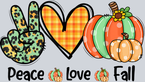 Peace Love Fall 1 - STK04730