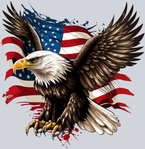 USA Flag Eagle - STK06250