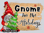 Gnome For The Holidays - STK02278