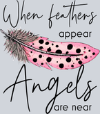 When Feathers Appear Angels Are Near - STK07029
