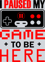 I Paused My Game To Be Here - STK06942