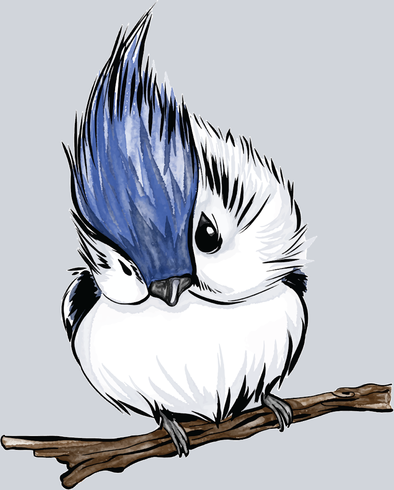 Cute Baby Blue Jay - STK01498