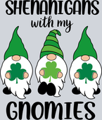 Gnome Shenanigans - STK02330