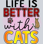 Pets Better With Cats - STK04818