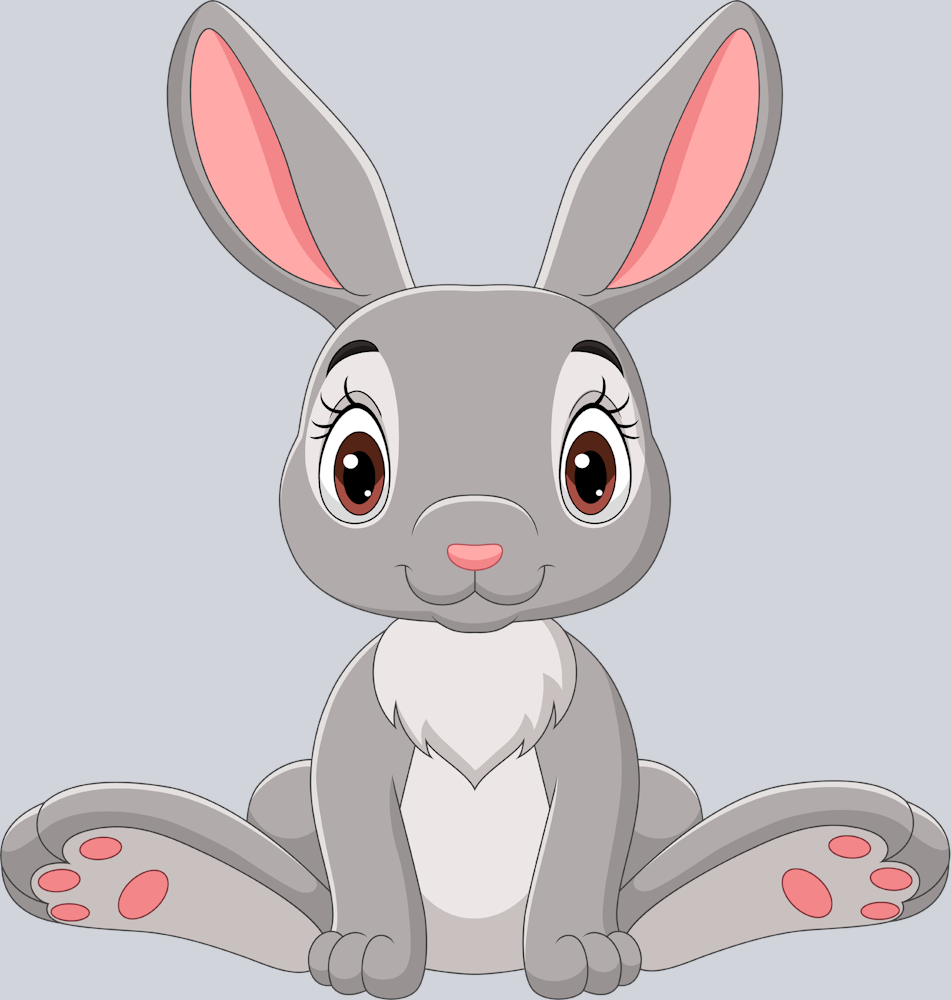 Bunny - STK01172