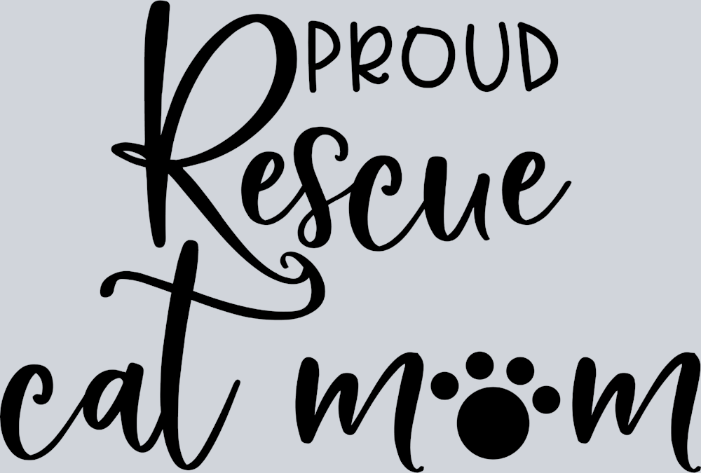 Pets Rescue Cat Mom - STK04889